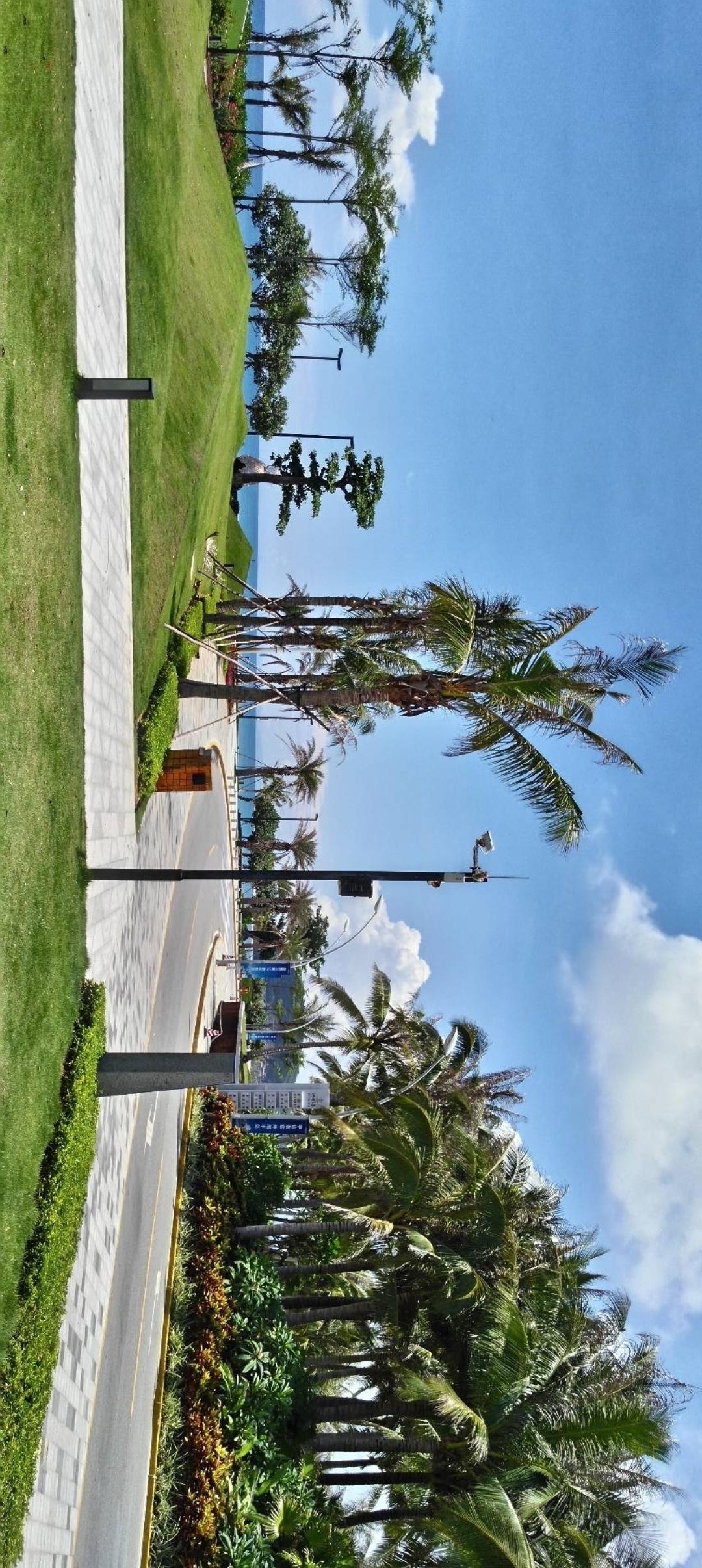 阳光洒满的滨海小道，绿意盎然，棕榈树摇曳生姿，海风轻拂，好不惬意！🌴🌊🌞