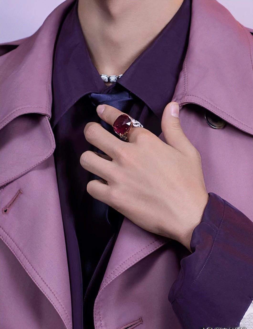 肖战手上戴的不是戒指，是一套汤臣一品。宝诗龙孔雀羽毛戒指标价7800万。中间