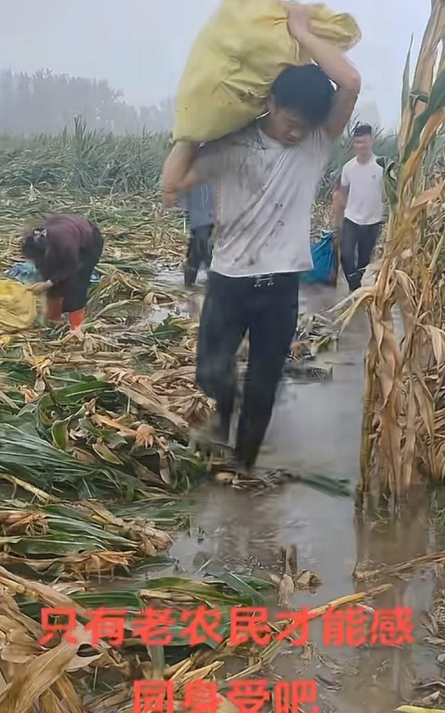 最不容易的就是农民了，最辛苦的也是农民。农民用勤劳的汗水养育了我们一代又一代