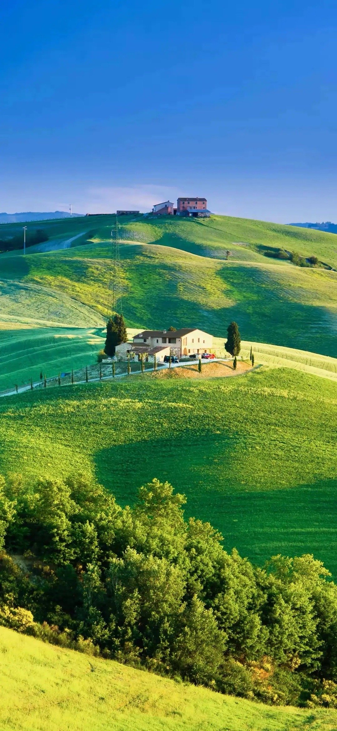 非常硬核的一句话:“炒股的爽点就是，只要你的判断是对的，便可合法掠夺认知落后者的