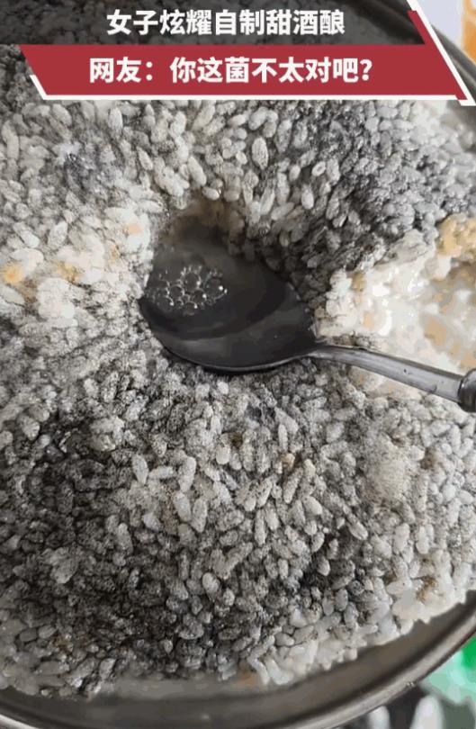 无知真是可怕！6月30日报道，浙江，一女子满心欢喜地在网上炫耀自己亲手酿的酒酿，