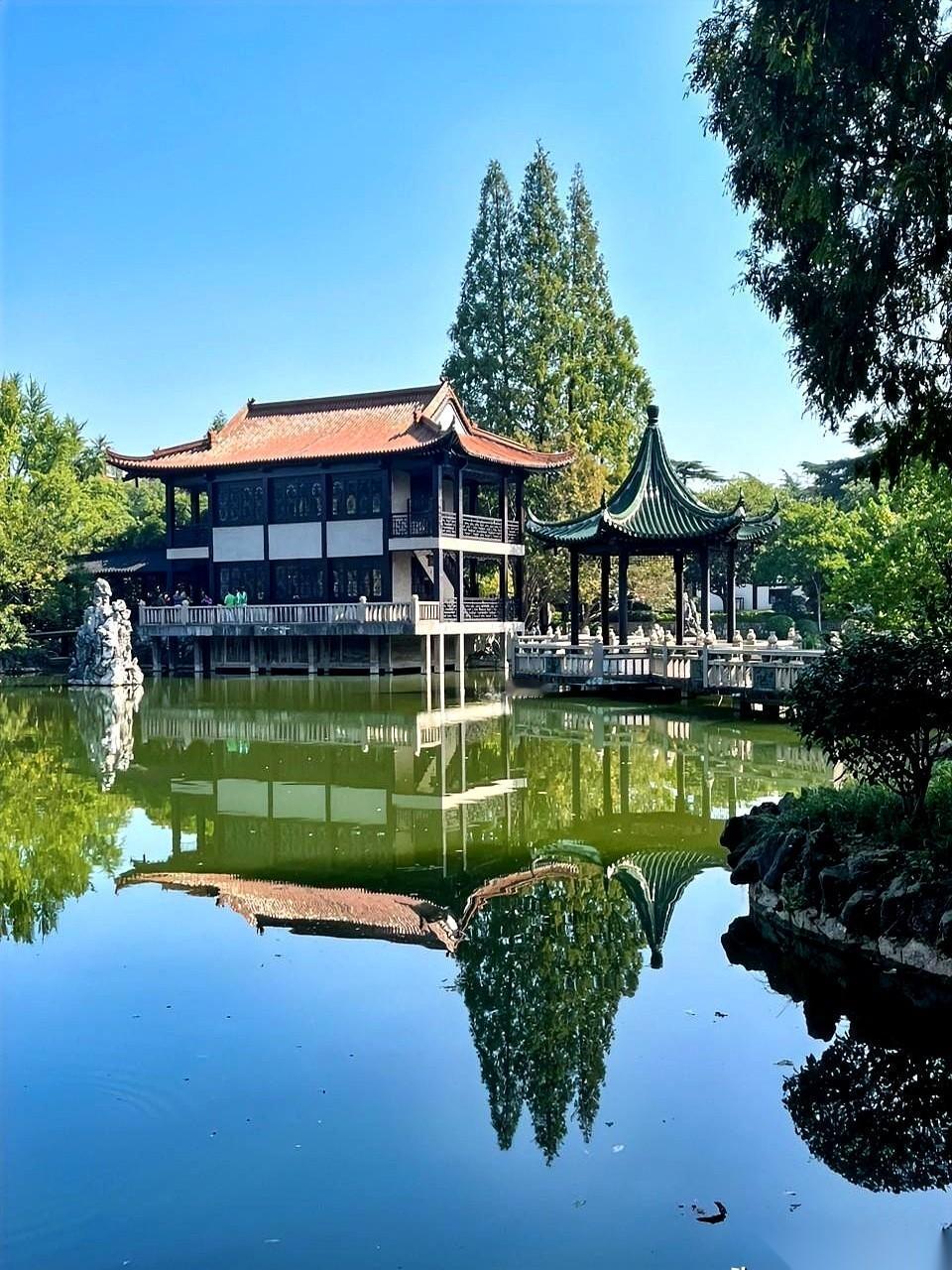 我刚出头六十岁的二姐，十一假期跟着儿子一家五口去了趟云南。一路上吃得不错风景也