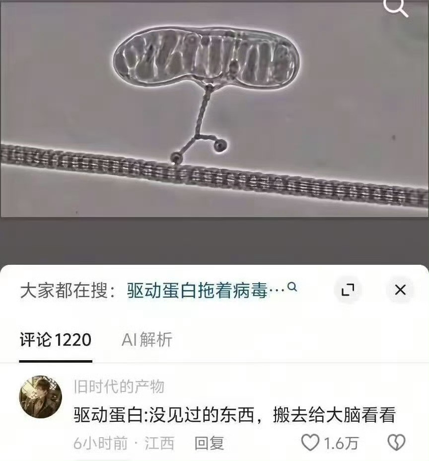 好像是shi搬去给网友们看看​​​