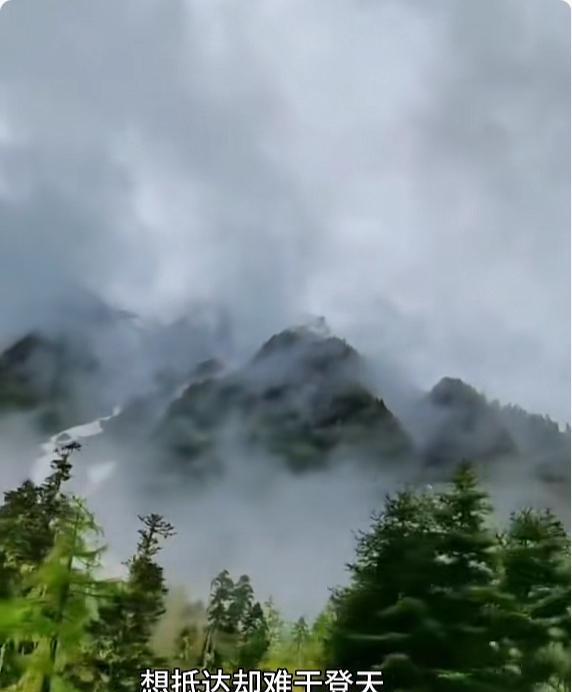 看看印度是怎么糟蹋藏南的？直把美丽的藏南森林当作垃圾场，倾倒了大量的生活垃圾，严