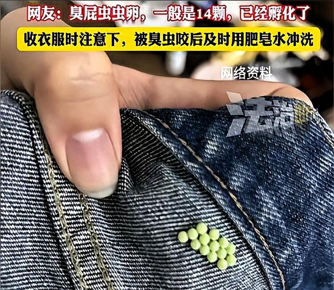 太膈应人了！”四川李女士早上穿内衣时总觉得扣着不舒服，一把扯开后，直接吓得把内衣