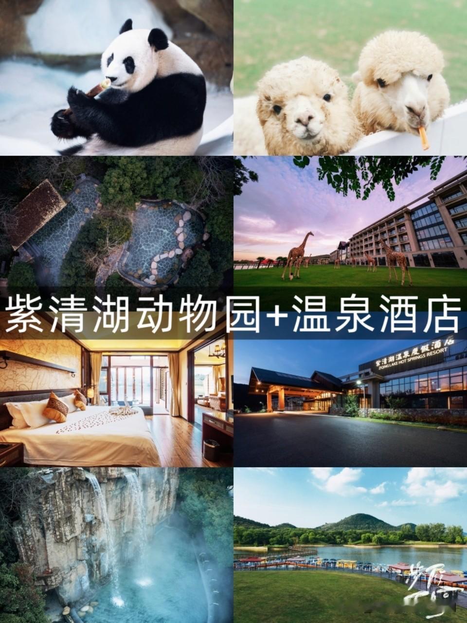 南京紫清湖度假，全家一站式躺玩太爽了✨南京汤山的紫清湖度假区，绝对是周末全家