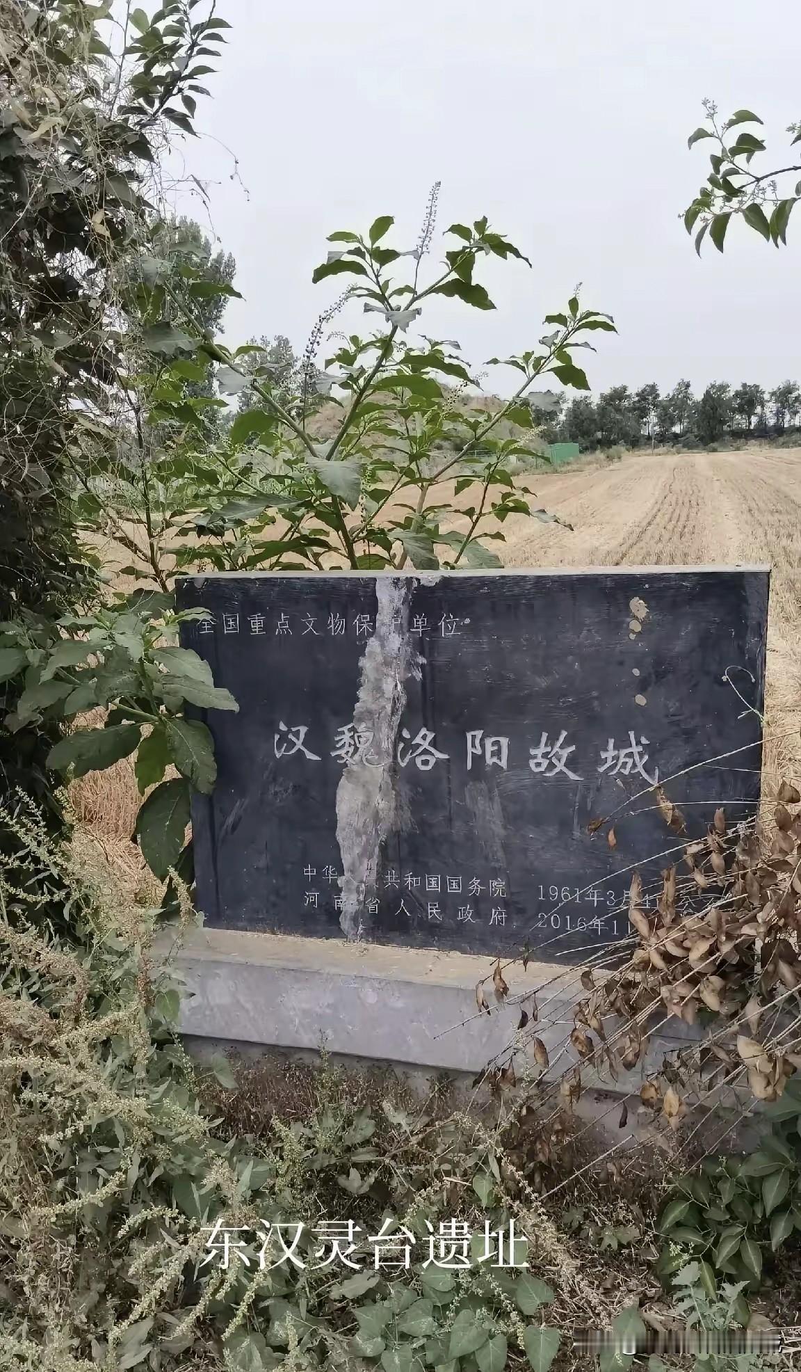 以前偃师佃庄人都说这座高大的夯土台是汉冢，但经过1974年中国科学院考古队进行发