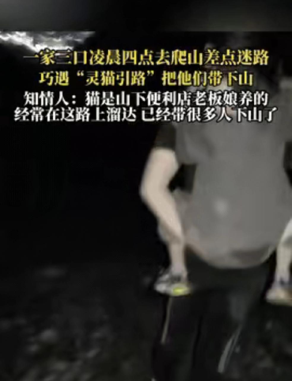 “彻底解释不清了！”一家三口凌晨四点去爬山，结果天黑路况又不熟在山上迷路了。