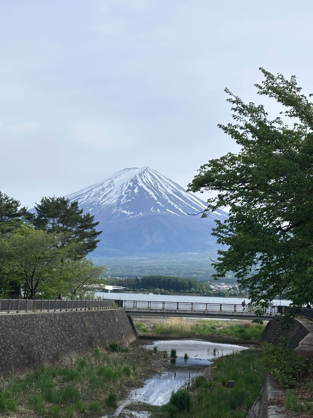 Fuji🏔️​​​