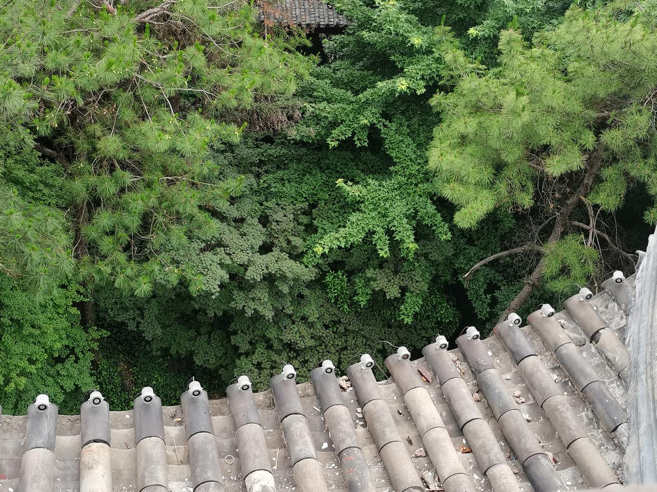 孩子表婶发信息告诉我，孩子爷爷生病住院了，从儿子那得知前夫也回来了。其实