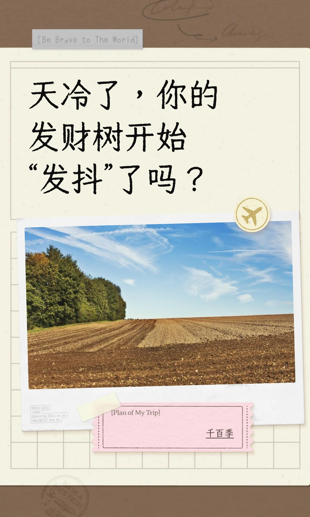 天冷了，你的发财树开始“发抖”了吗？