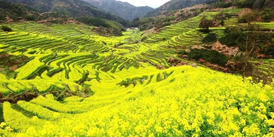 表哥年轻时折腾小买卖没翻起水花，四十五岁那年突然开厂子挣了大钱。村里人排着队