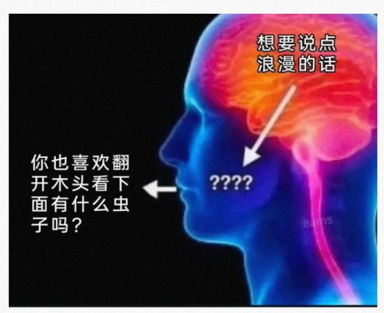 我的大脑真的不受我控制