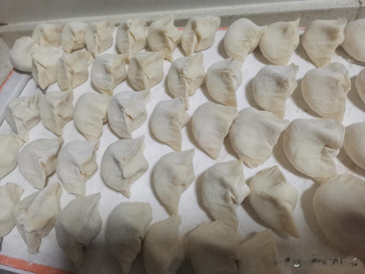 猪肉包菜饺子真好吃。今天是星期六，我给孩子们做了猪肉包菜饺子，这是第一次做猪肉包