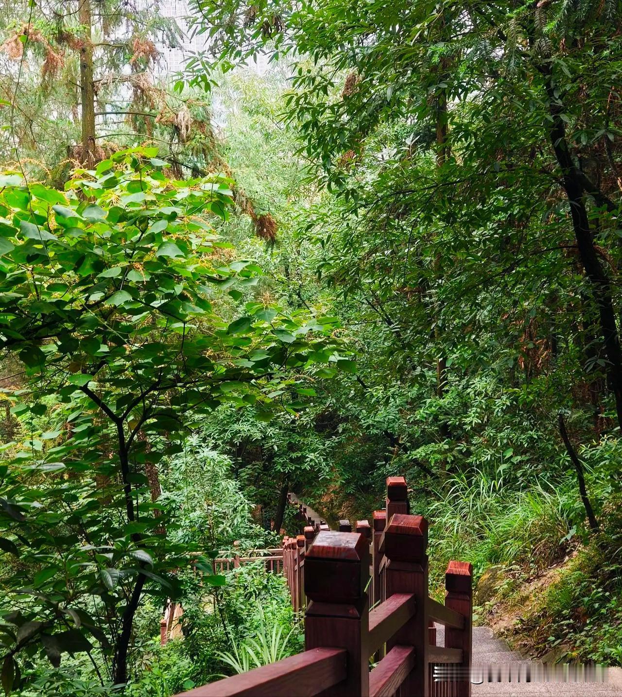 朋友跟我说:“我昨天心情不佳”我说:“大周末呢，你干嘛心情不佳？”她说: