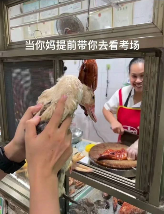 烤生，准烤证带了吗？？？