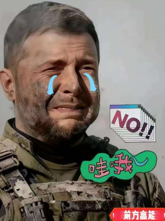 乌克兰外交部宣布了！2025年11月13日，乌克兰外交部宣布，因缺乏成果，乌克兰