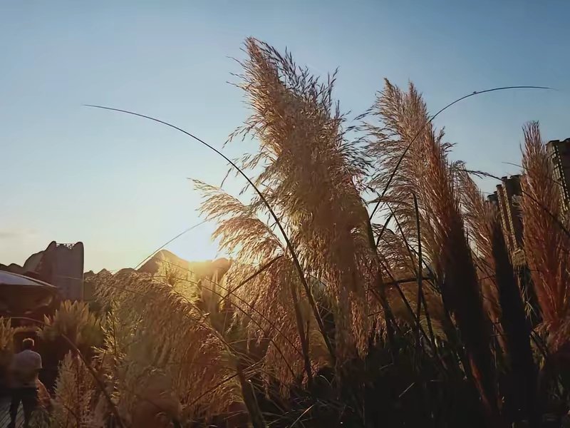 何穗月子后做了二次手术何穗月子后二次手术！超模风光背后，藏着所有妈妈的心酸心疼！