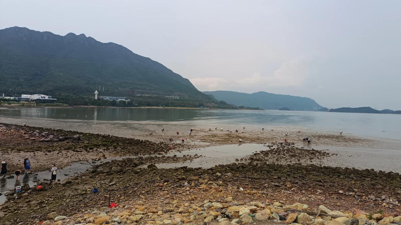 赶海，海边漫步，感受海风拂面，享受宁静时光。🌊🏖️海边游玩风海边治愈系生活
