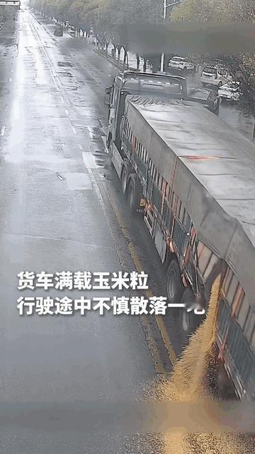 “真的太暖心了！”新疆，一辆大货车拉着满满一车玉米行驶在路上，突然，车厢里的玉米