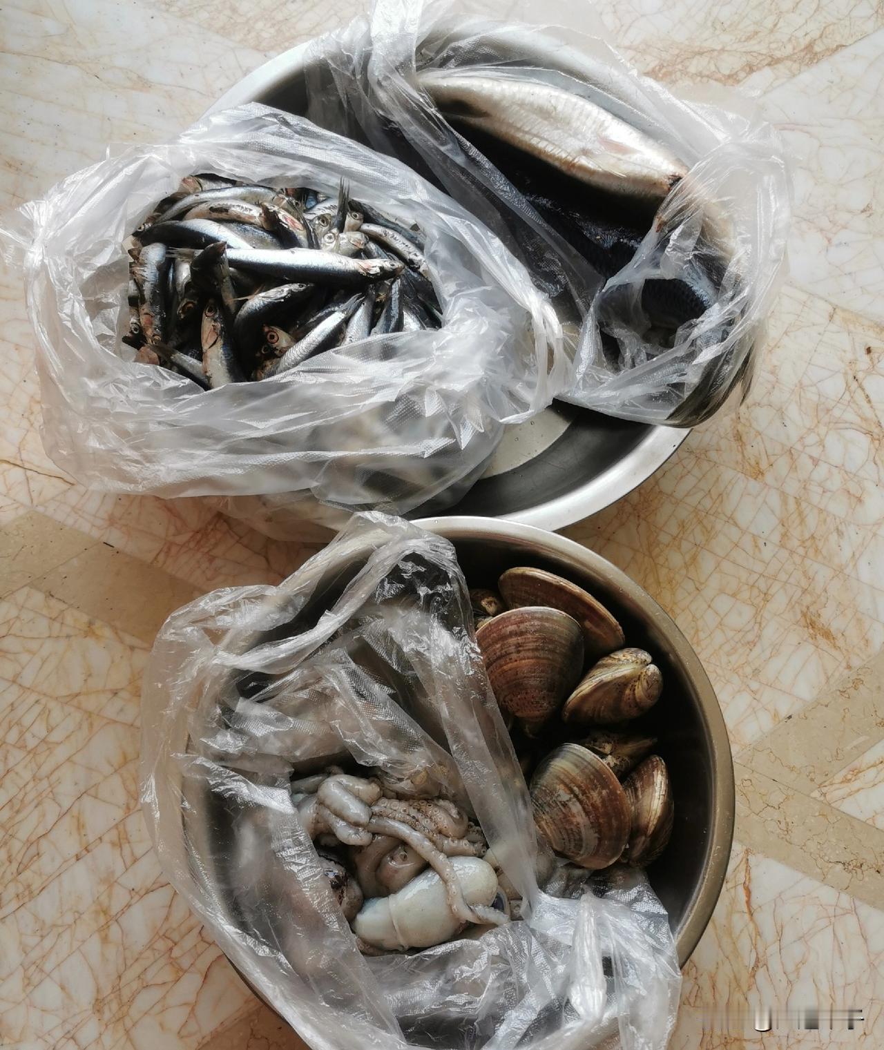 昨天我家囤两盆四样海鲜，今天最后一天继续囤！昨天中午，我俩开车去寺儿沟春海农