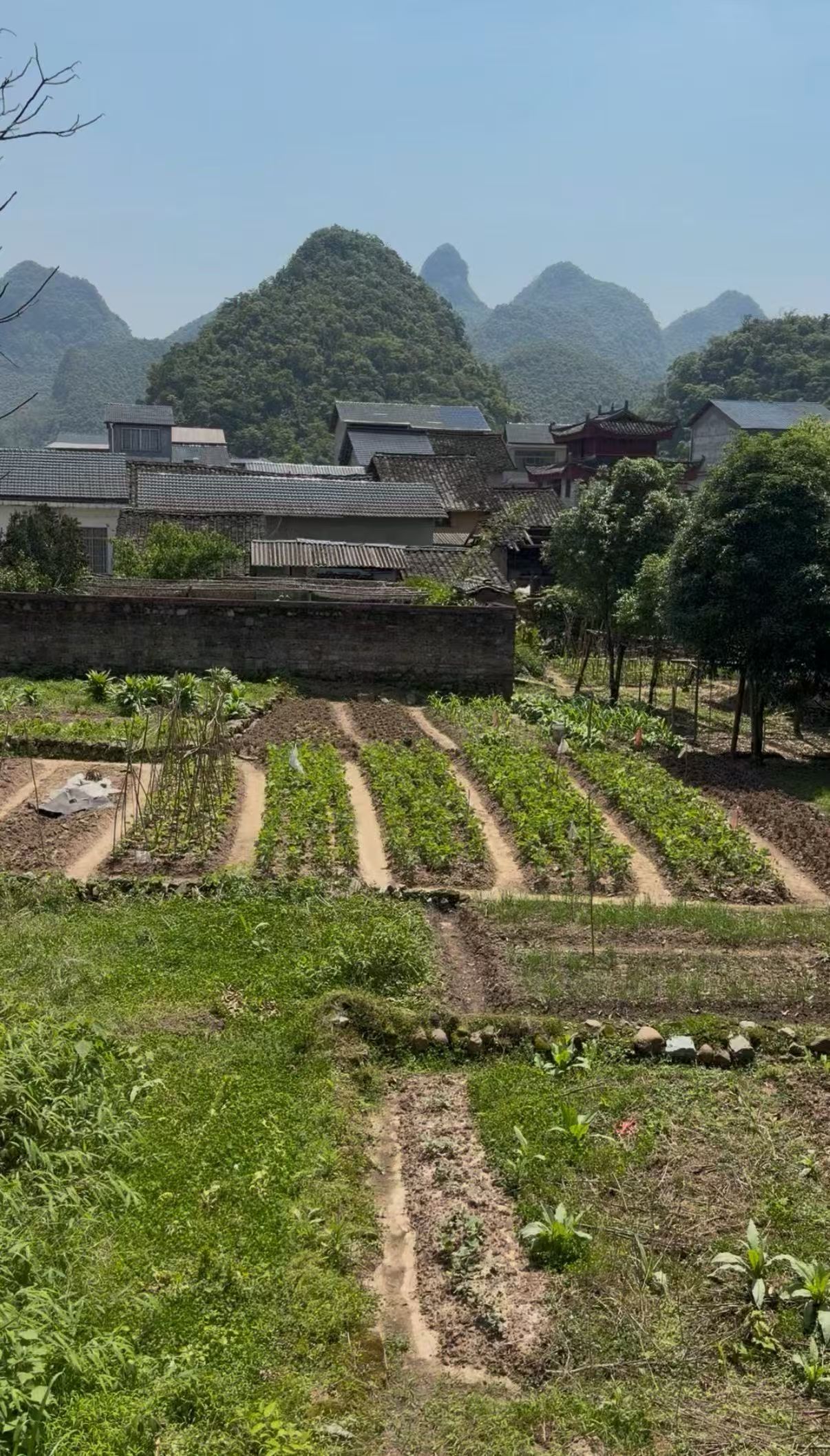 广西桂林游，永宁州古村漫游攻略！