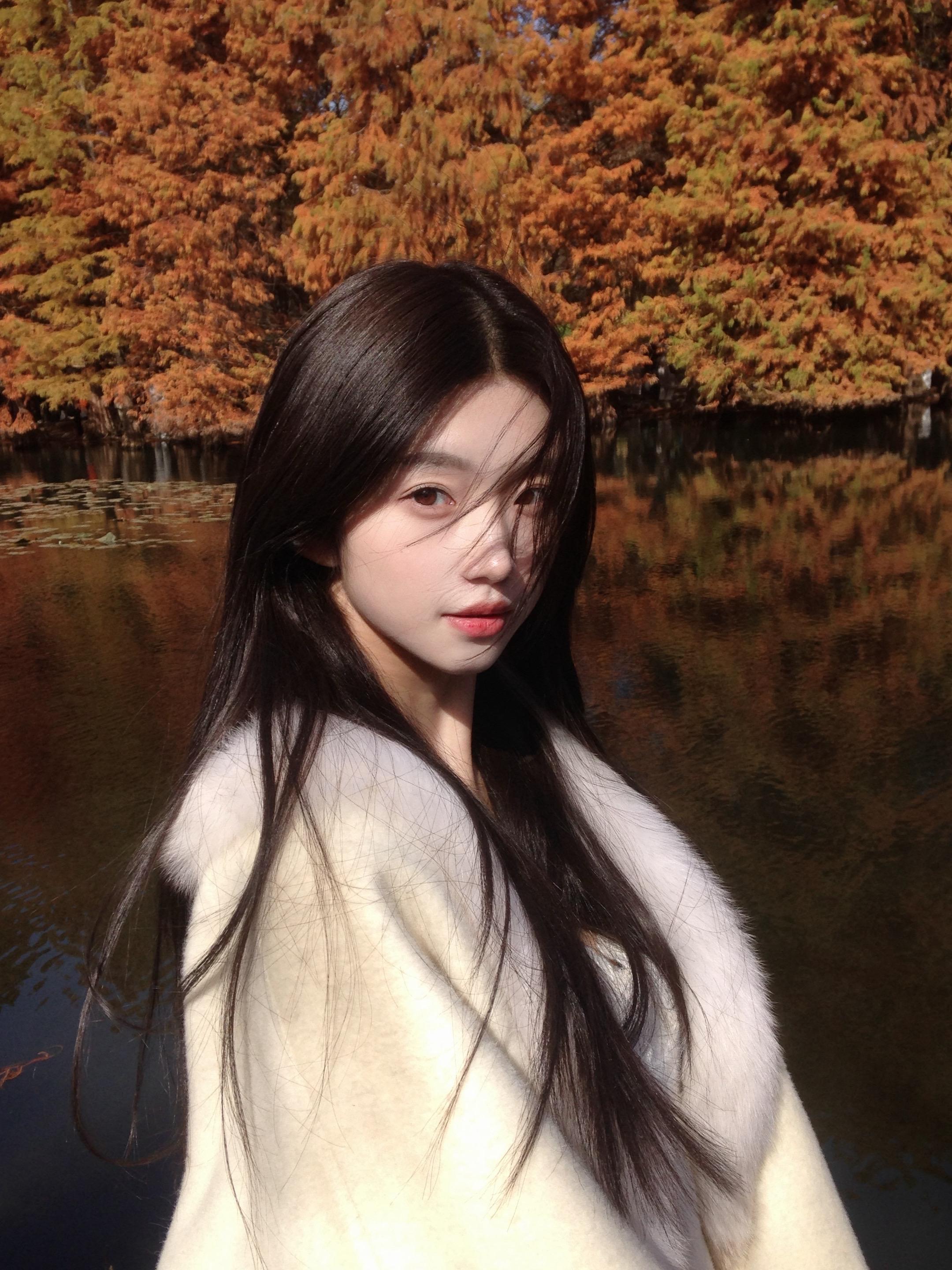 明孝陵的水杉。可能是半个月前的