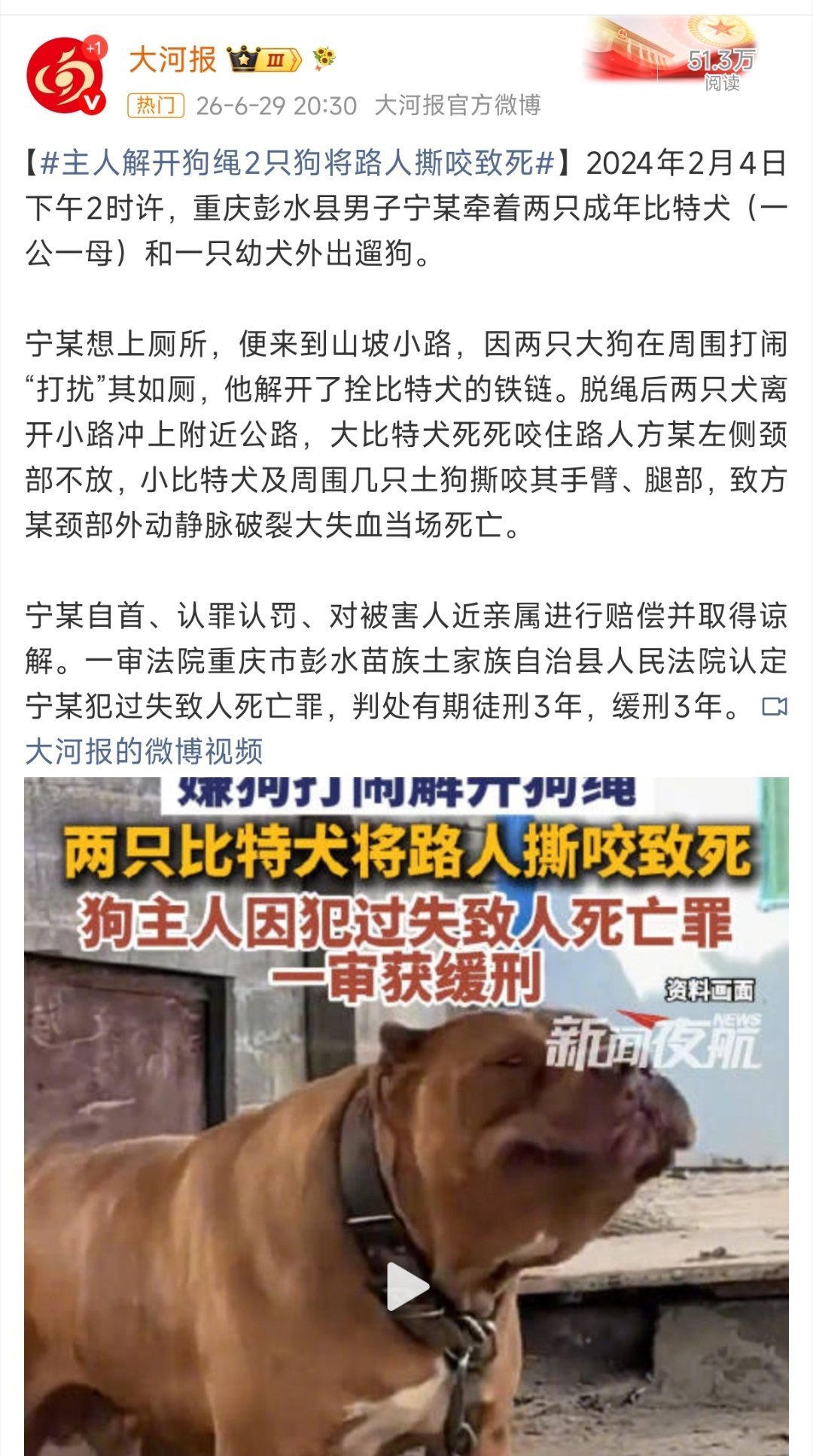 【重庆，主人解开狗绳2只狗将路人撕咬致死】比特犬是典型的烈性犬，饲养没人管，主人