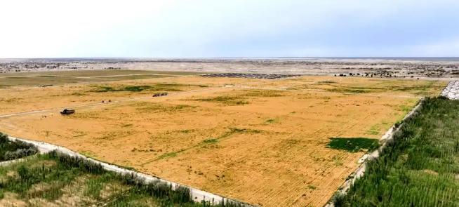 万万没想到，中国工程闹了个大“乌龙”，原本以为在沙漠种小麦产量会很低，不料一亩地