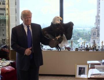 美国总统坦言：不管你喜不喜欢，你都必须尊重中国！时任匈牙利总理欧尔班更直接：别白