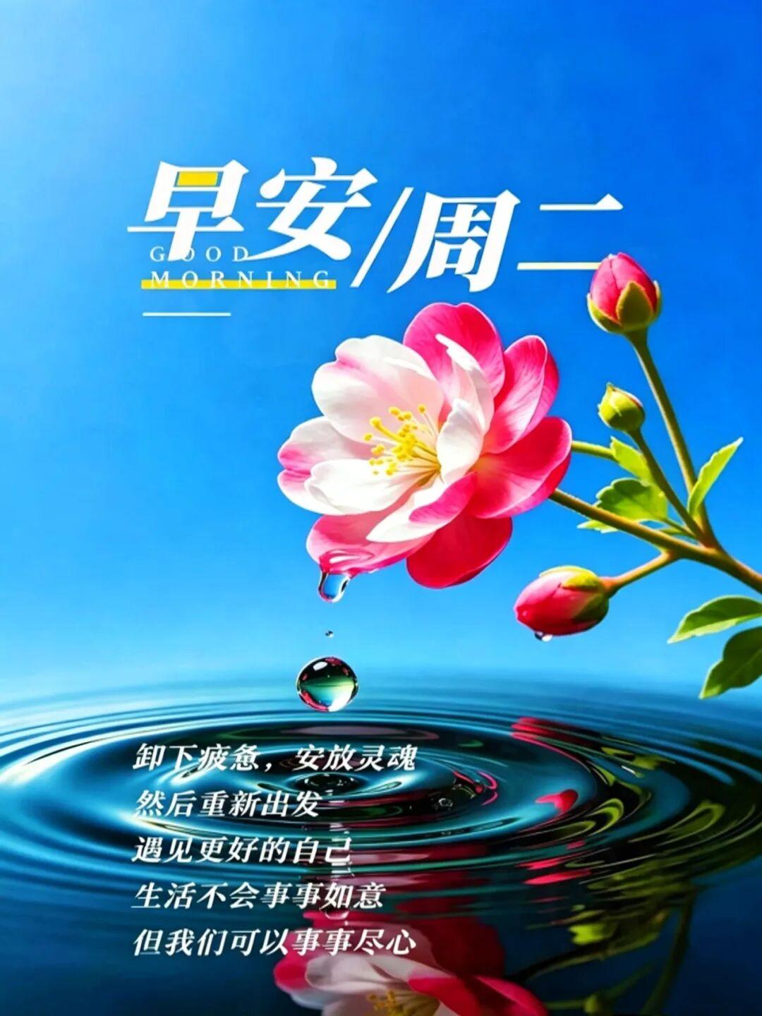 🌈尘世风光正好，莫被烦绪缠身。🍒人生诗意绵长，常以笑颜相待。🌞愿晨安心怡，