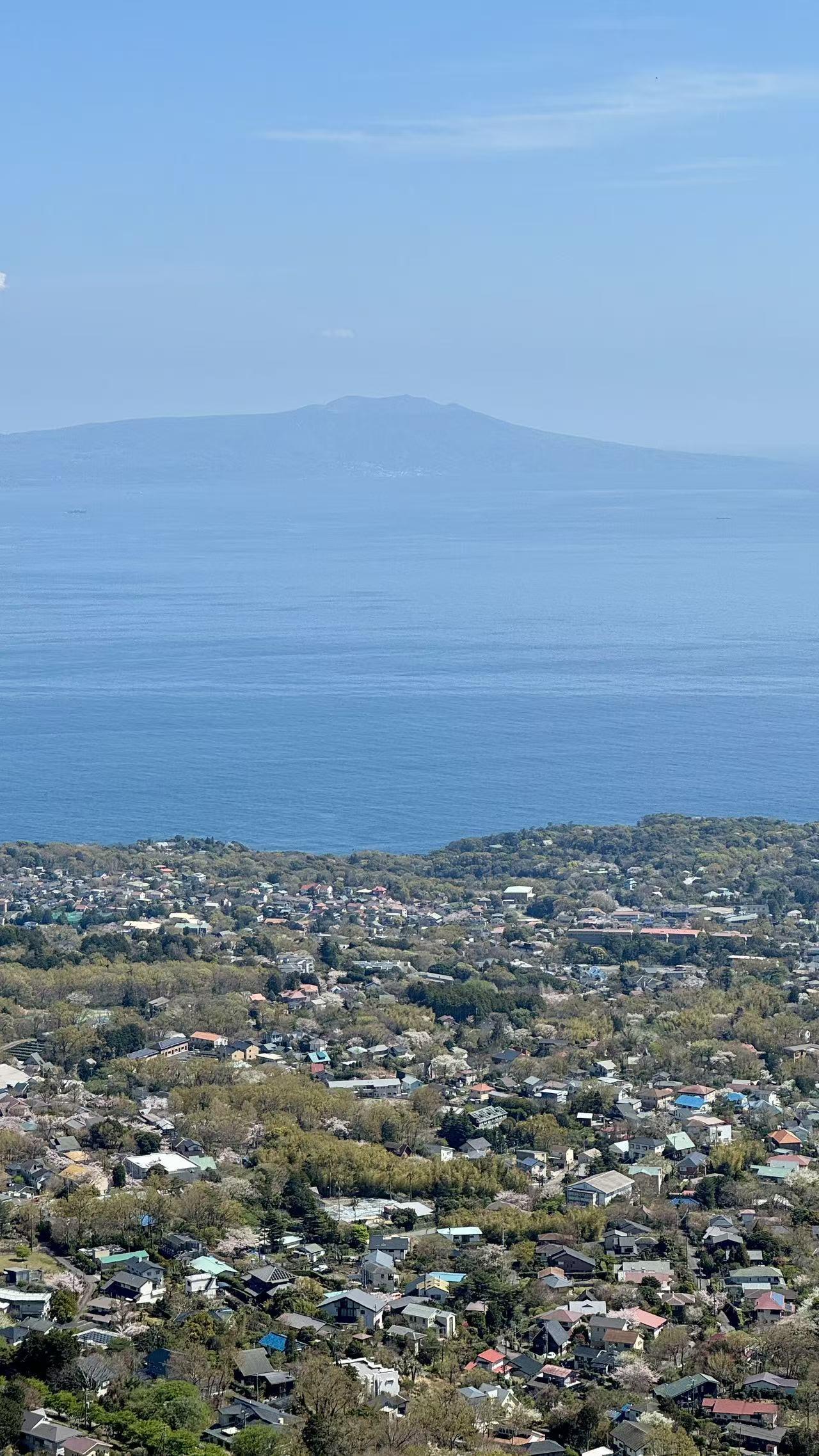 伊豆的山海与樱花260403跟着女儿的镜头，云游伊豆：山海之间，赴一场春日
