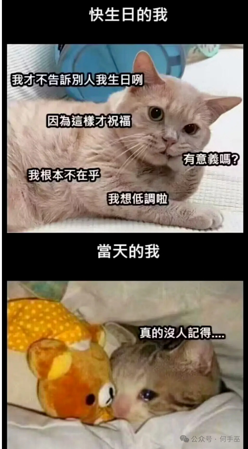 呜呜呜真没人记得