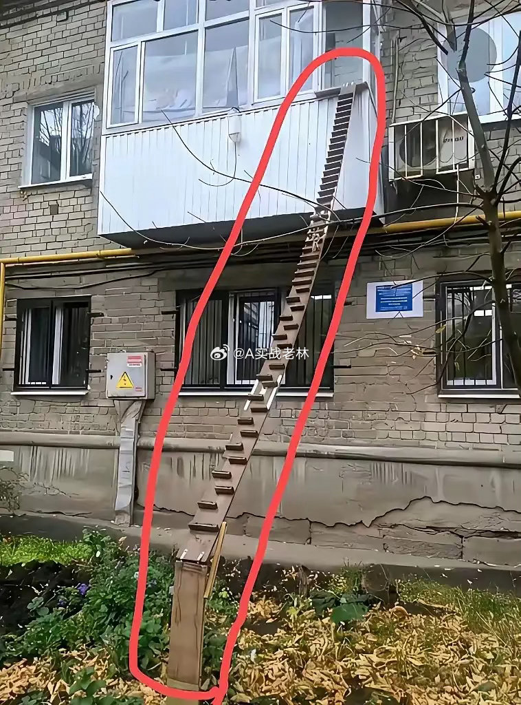 活久见啊！这搭的楼梯能走人吗？