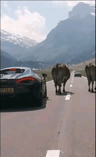 牛：催社么催？你牛还是我牛