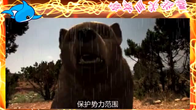 4134350921657629361.jpeg?id=0