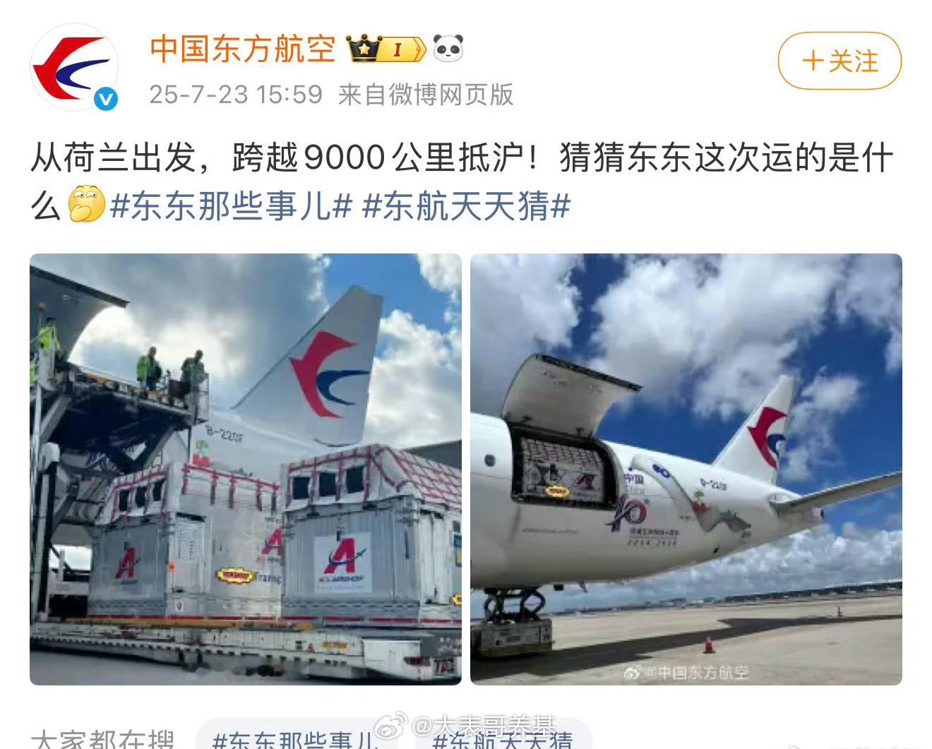 有人以为运送的是阿斯麦光刻机，结果……是来自欧洲的温血马…[捂脸哭]​​​