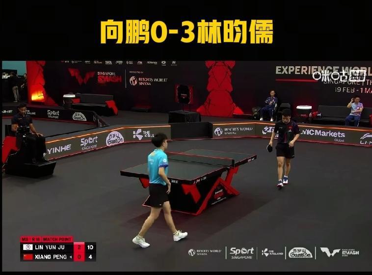 一个好消息，一个坏消息好消息是小石头挺进八强了坏消息是鹏鹏输林昀儒了2月2