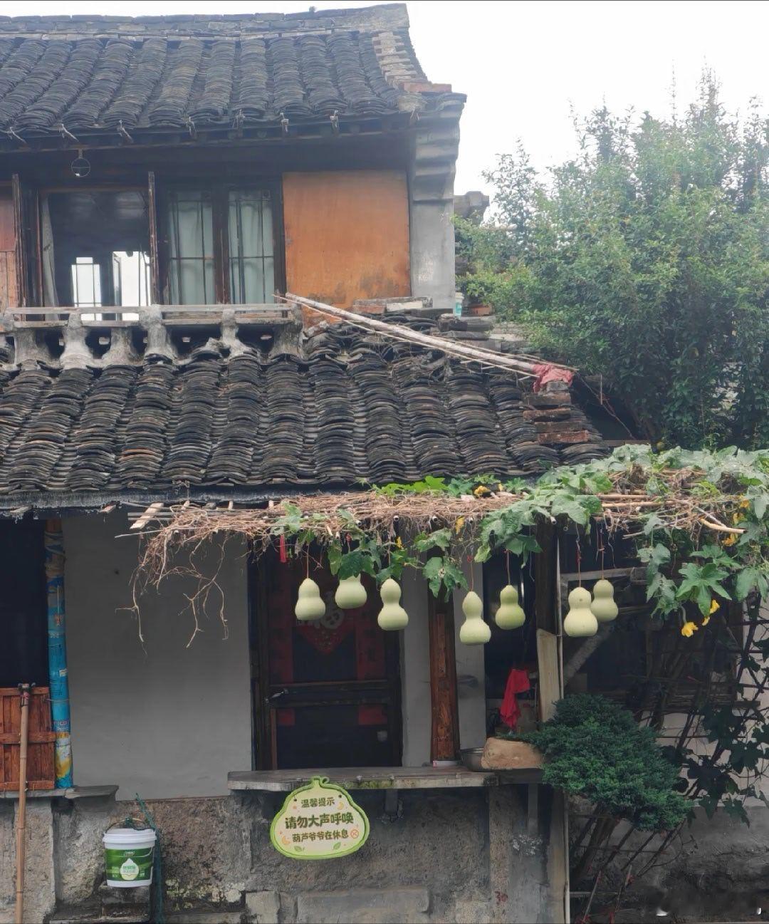 绍兴爷爷家门口七个葫芦又被挂上了……。感觉有趣的事情，搞的好无趣，刻意就
