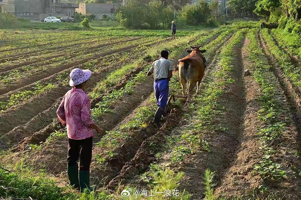 代表说农民交的公粮就等于交了社保从国家层面上讲应该让每一个公民都老有所依，中国的