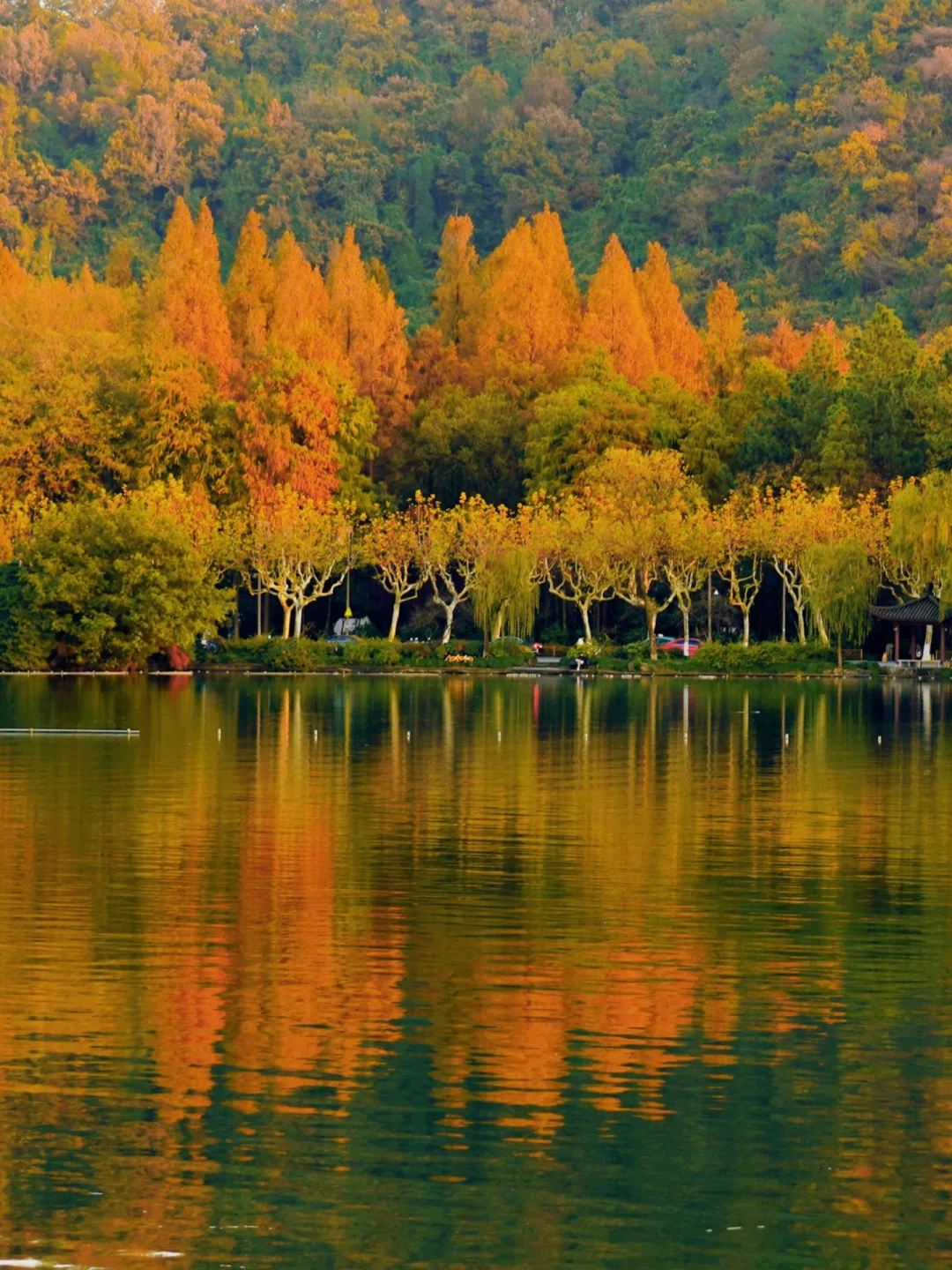 去了99次西湖🍂，还是最爱这条㊙️境！