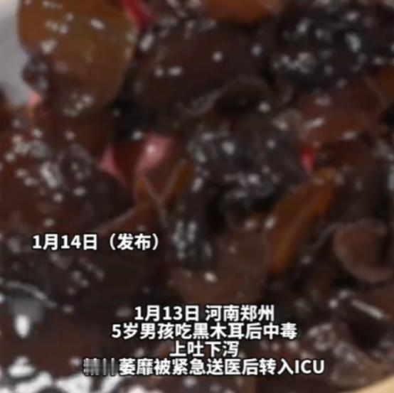 “悲剧还是发生了！”2026年1月14日报道，河南郑州，一5岁男孩因食用隔夜黑木