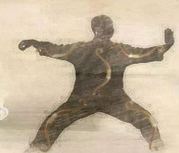 脊柱一转动，太极真劲自然来！老师傅十年体悟就这三点我二十岁那年颈椎疼