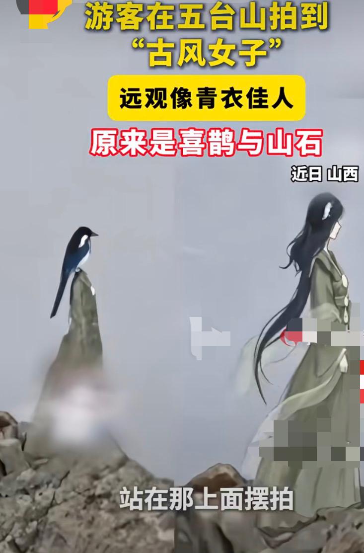 好像，大自然的艺术