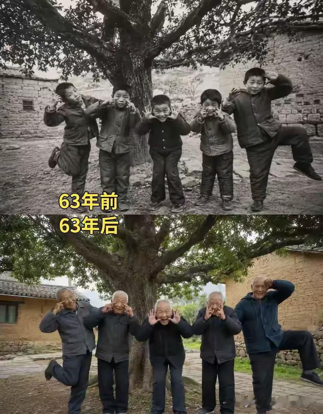 树记录人生记忆城市*徐州