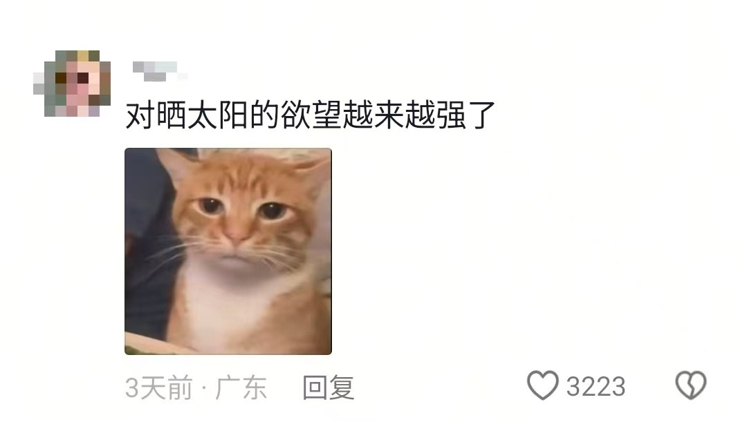 我的精神食粮现在唯一能感受到自己活着的两件事：溜公园和喝咖啡