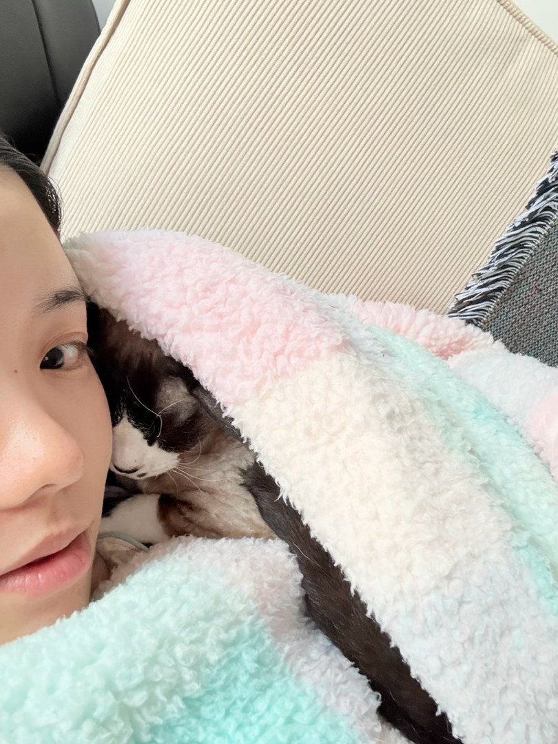 休想逃走小猫咪​​​
