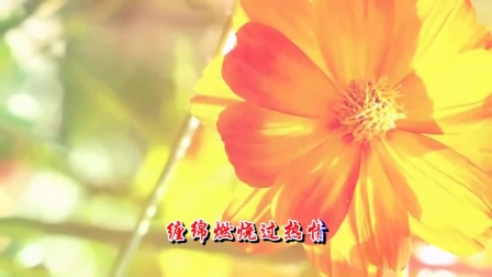 4138096912280568752.jpg?id=0