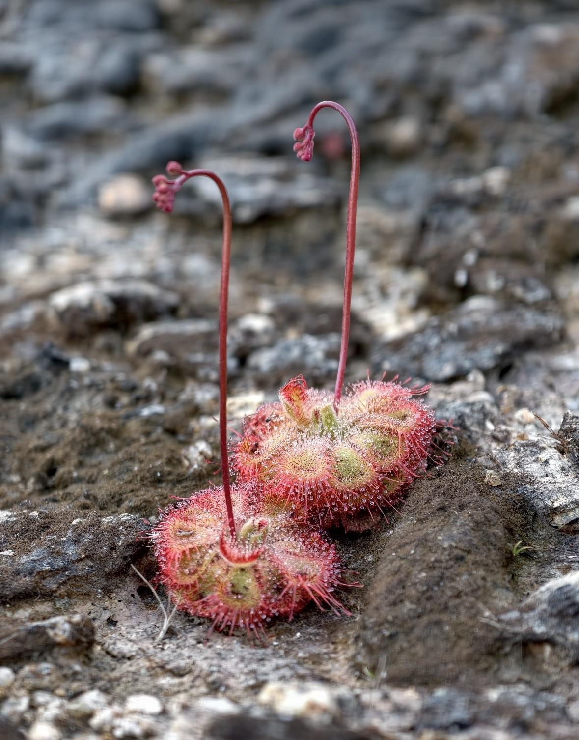 见过2万块一个月一分不存的，也见过月薪6000，一个个月存2000的，到了3