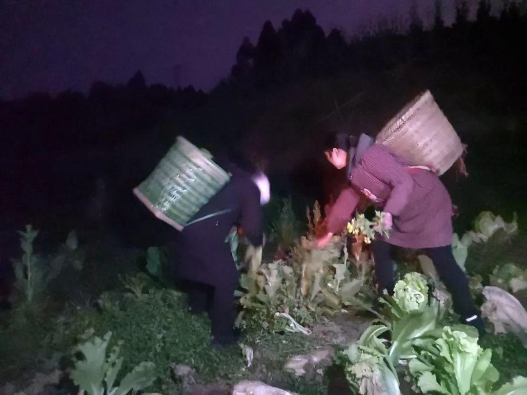 有个“偷”字的节目，难登大雅之堂就不象什么泼水节，火把节能登央视大舞台你对此